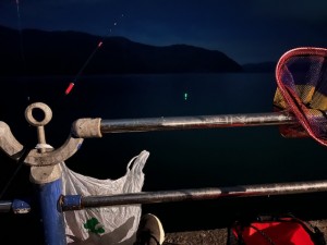 IMG_5718