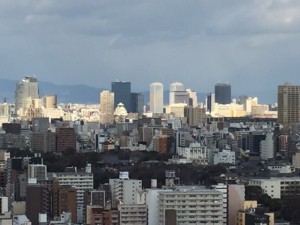 IMG_6095